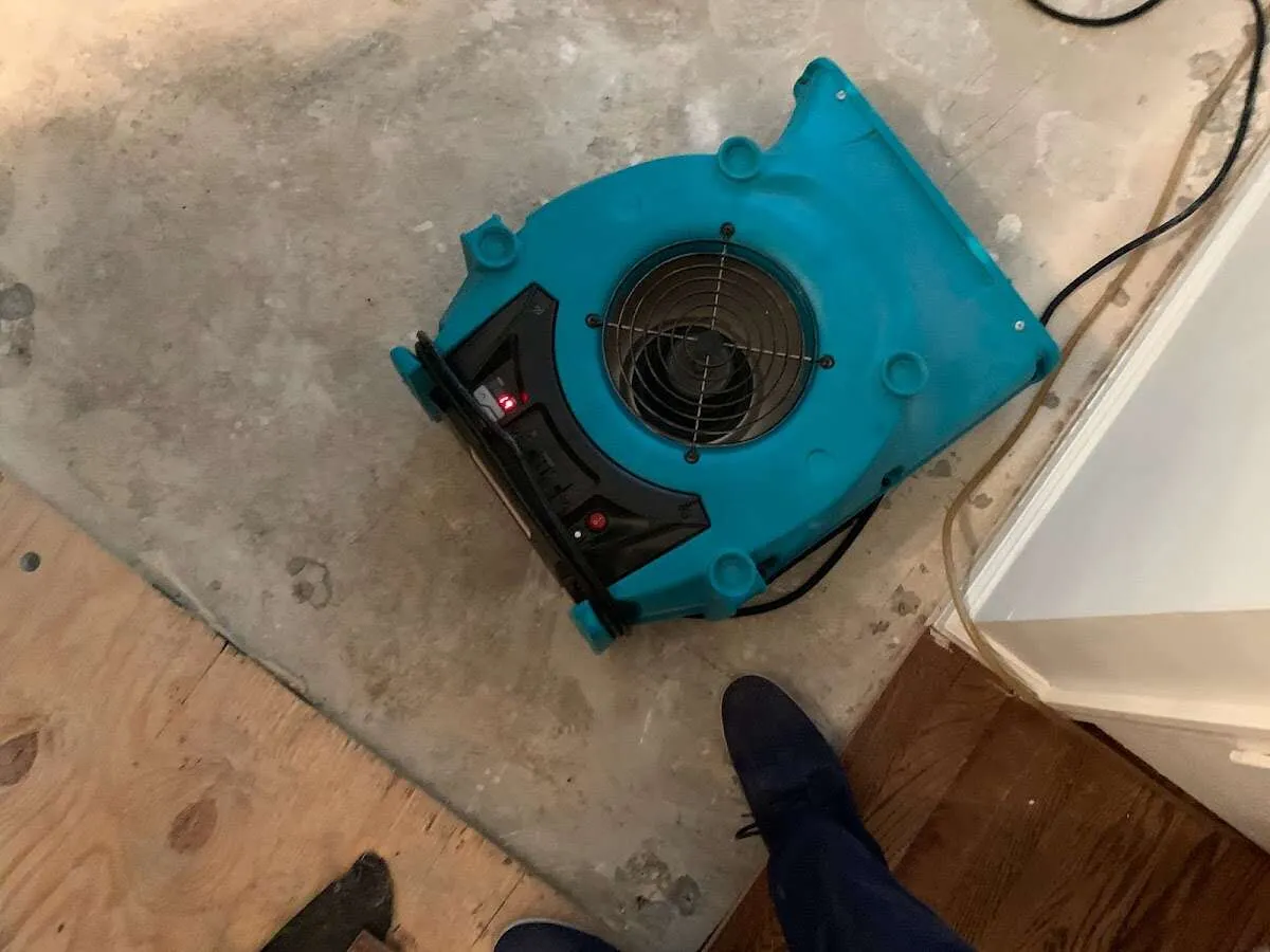 Air mover drying subfloor during Leak Detection & Repair in Cobleskill